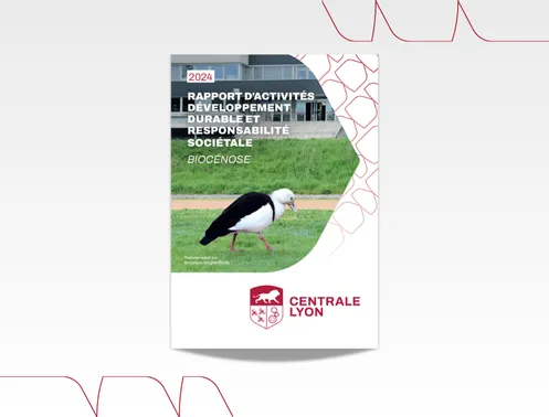 vignette rapport ddrs 2024