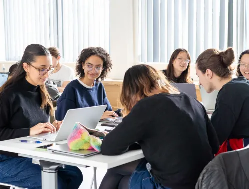 Centrale Lyon engineering student in environmental project simulation