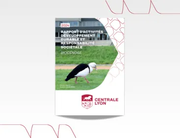 vignette rapport ddrs 2024