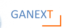 国家氮化镓电子元件制造网络 (GANEX)