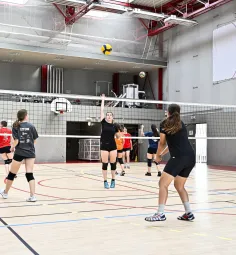 Terrains de sport collectif