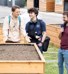 Shared garden