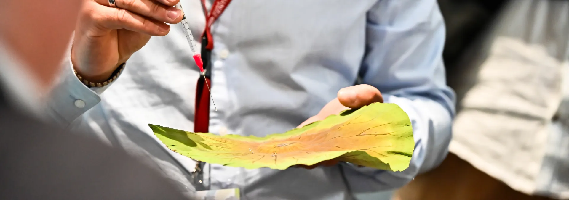 biomimicry and surface engineering demo