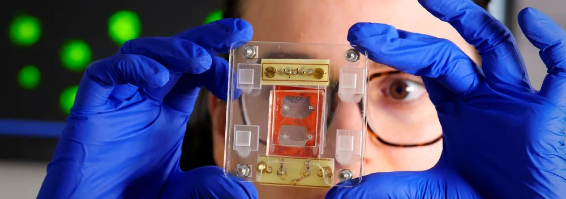 nanobiotechnology in centrale lyon engineering school