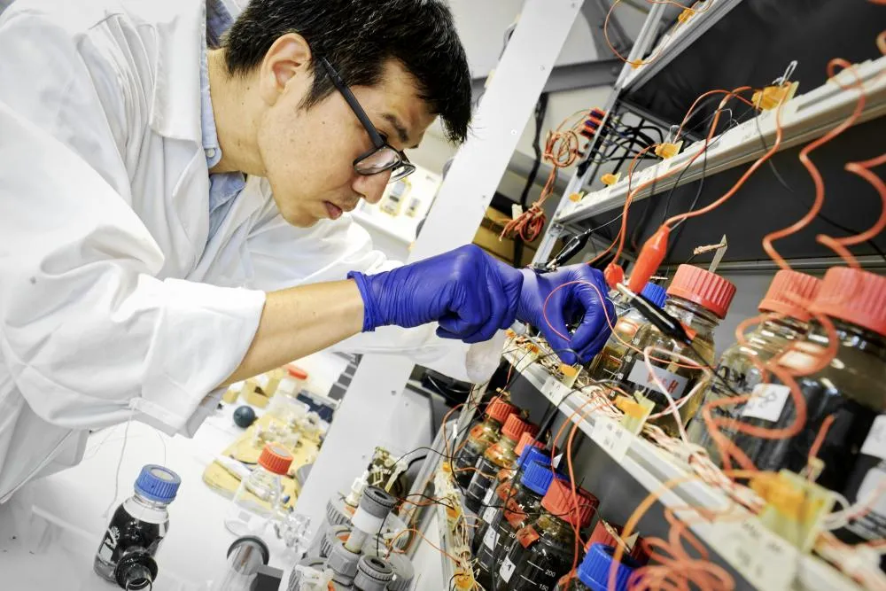 plateau bio ingénierie centrale lyon